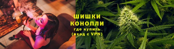 гидра Алексеевка