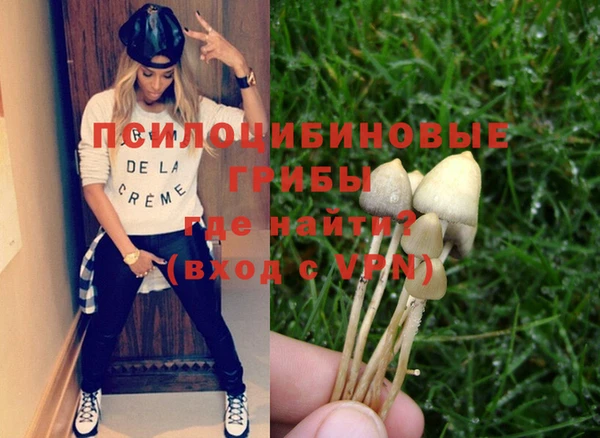 PSILOCYBIN Пролетарск