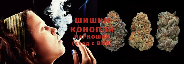 гидра Алексеевка