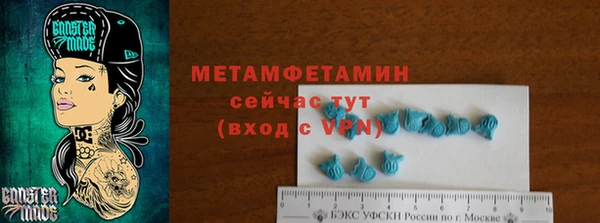 гидра Алексеевка