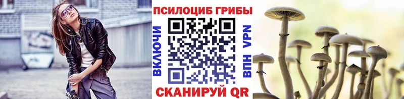 Псилоцибиновые грибы Cubensis  мориарти Telegram  Темрюк  KRAKEN как войти 