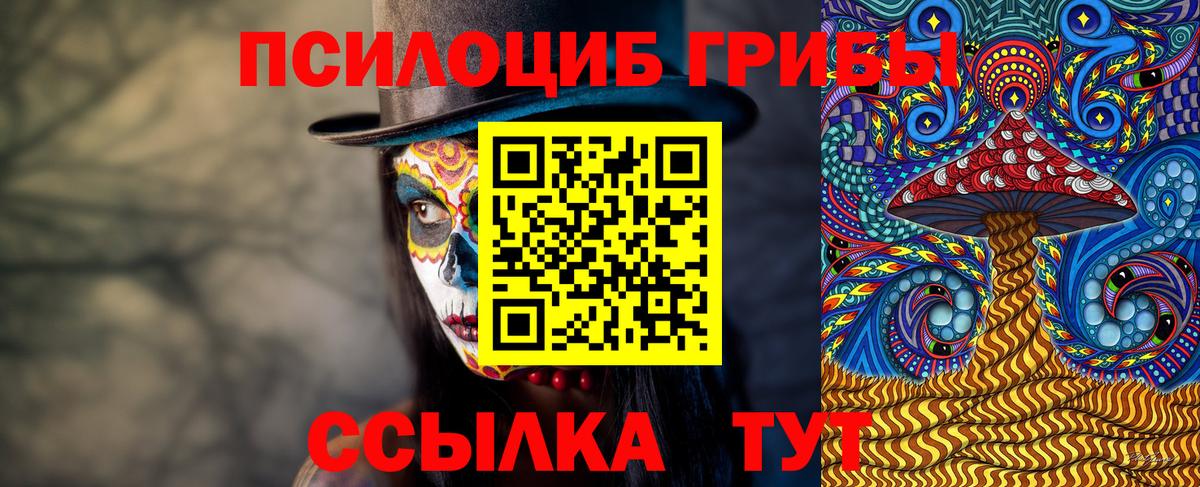 Псилоцибиновые грибы мицелий  как найти закладки  Вход с VPN  Темрюк  Псилоцибиновые грибы мухоморы 